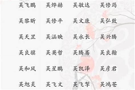 姓吳的名字|姓吳的男孩名字大全，姓吳男寶寶起名字大全，吳姓男孩取名大全